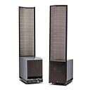 Martin Logan Renaissance ESL 15A Arctic Silver (Gloss Metallic)