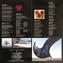 Pink Floyd The Division Bell (2 LP)