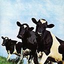 Pink Floyd Atom Heart Mother