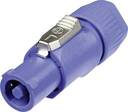 IsoTek EVO3  Syncro Active DC Blocking Cable Neutrik 2,0 м.