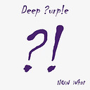 Deep Purple Now What?! (2 LP)