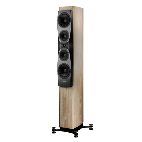 Dynaudio Confidence 50 Blonde Wood