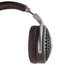 Focal Hadenys Brown