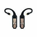 iFi Audio iFi Audio GO Pod Wearable Bluetooth