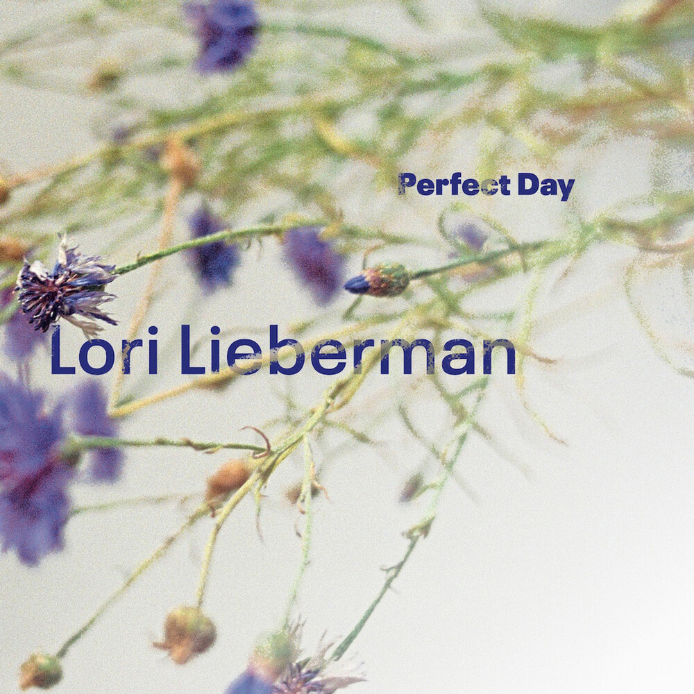 Lori Lieberman Perfect Day One-Step 45RPM